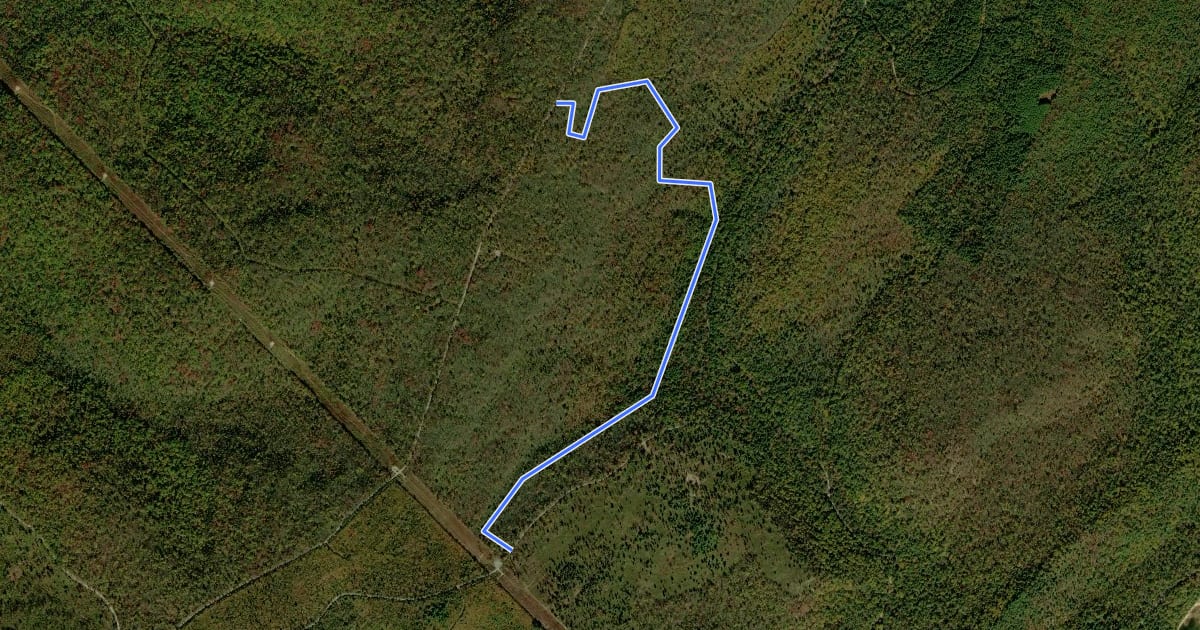 Маршрут Gutter Trail на спутниковом снимке