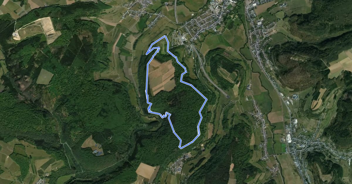 Маршрут Guttland.Trail Mamerleeën на спутниковом снимке