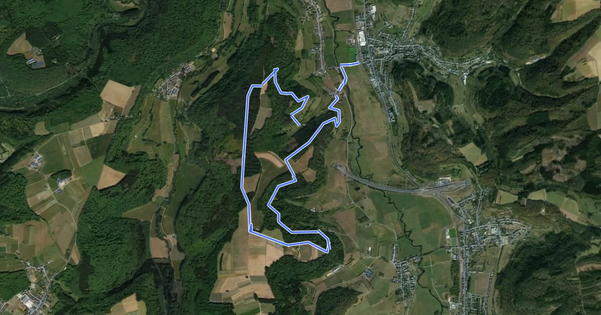 Маршрут Guttland.Trail Schéiferei на спутниковом снимке