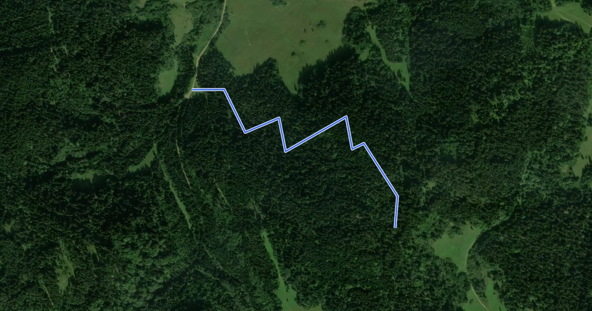 Маршрут Gvizd Trail на спутниковом снимке