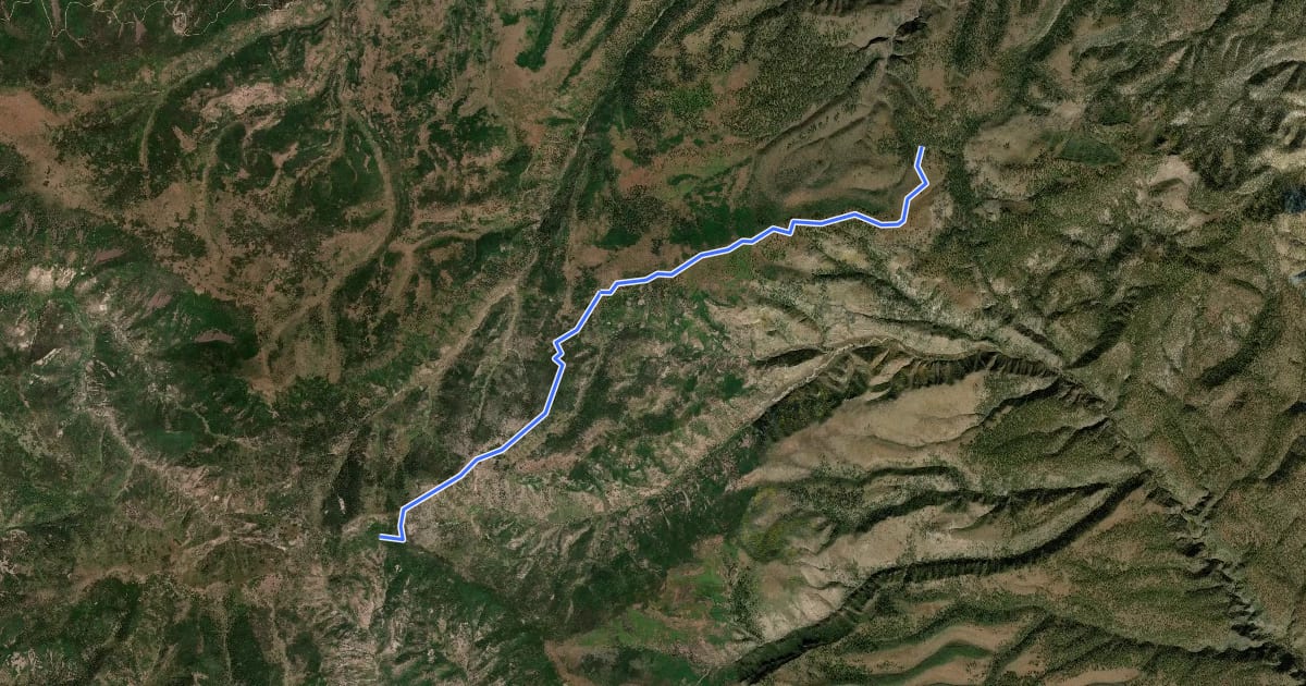 Маршрут GWT - 102 - Turkeyfeather Montain Trail на спутниковом снимке