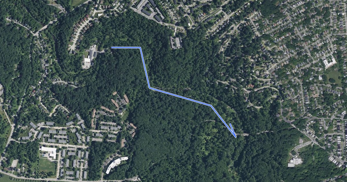 Маршрут Gwynn Falls Trail (Dickeyville Trail Alternative) на спутниковом снимке