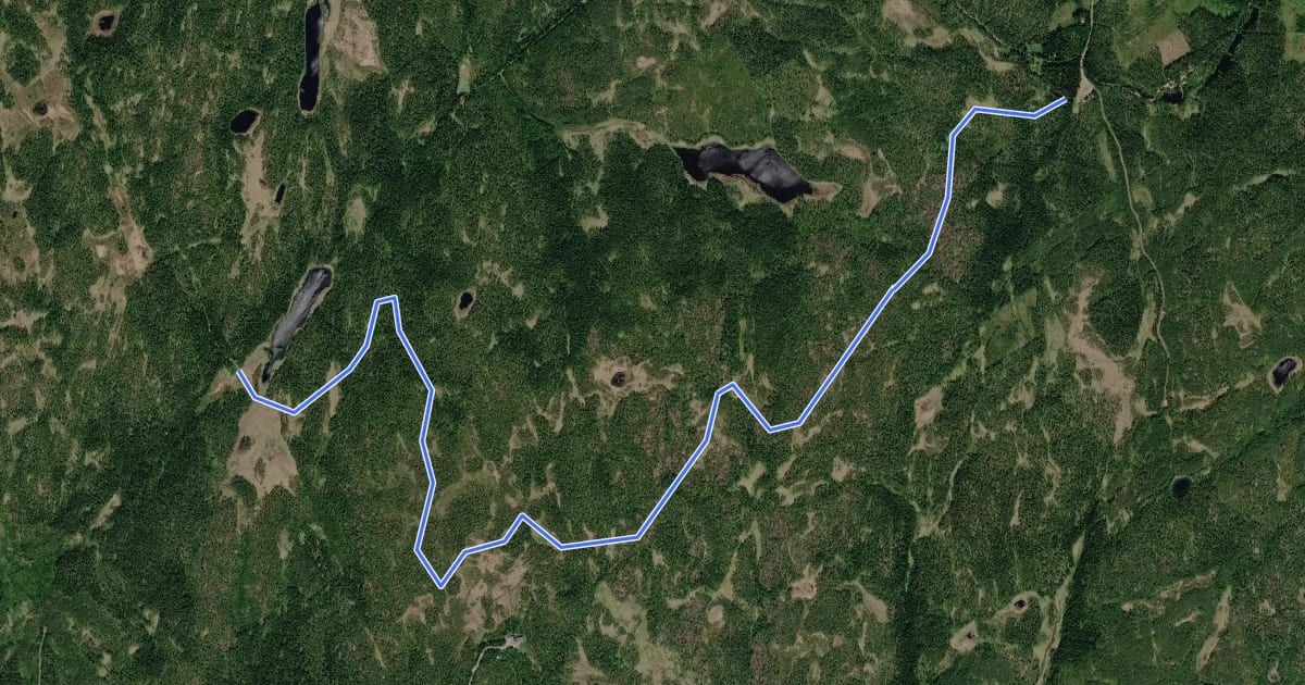 Маршрут Gylle fäbod - Dragbergsstugan (över masten) на спутниковом снимке