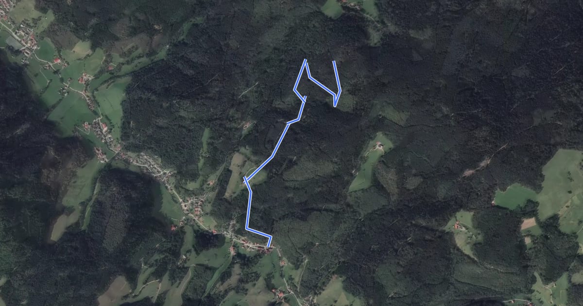 Маршрут Häberlehofweg - Kostbachweg на спутниковом снимке
