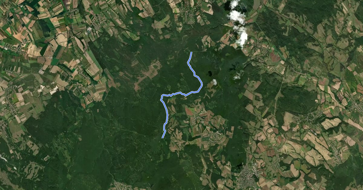Маршрут Hódos-ér-Kisszépalmapuszta MTB на спутниковом снимке
