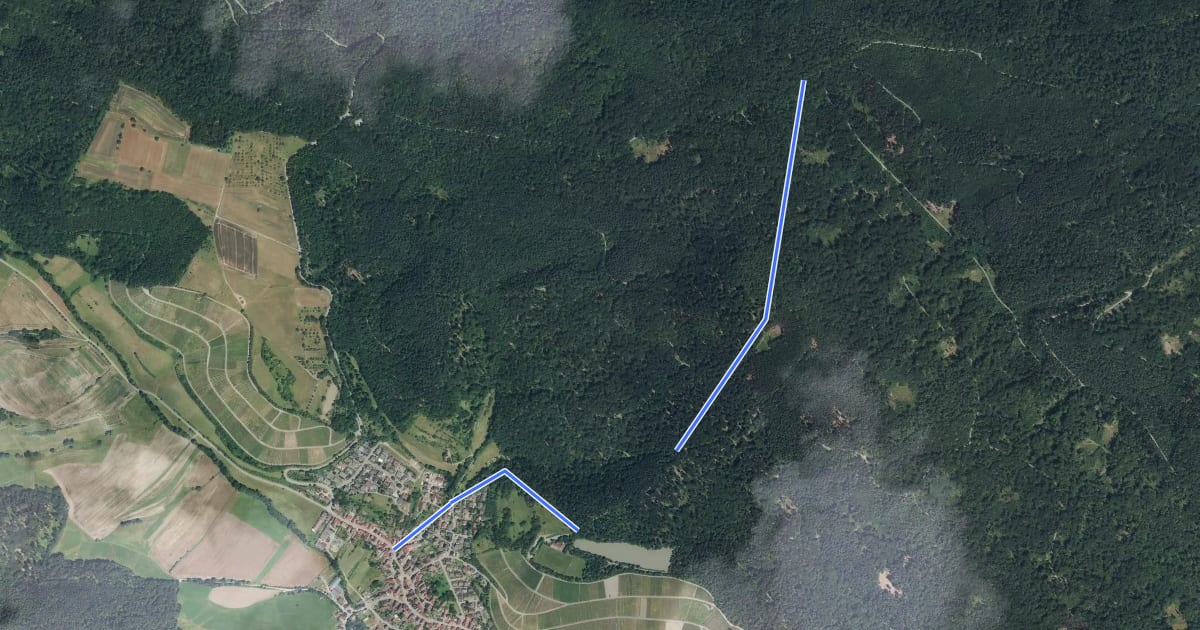 Маршрут Häfnerhaslach - Schlierkopf - Rennweg на спутниковом снимке
