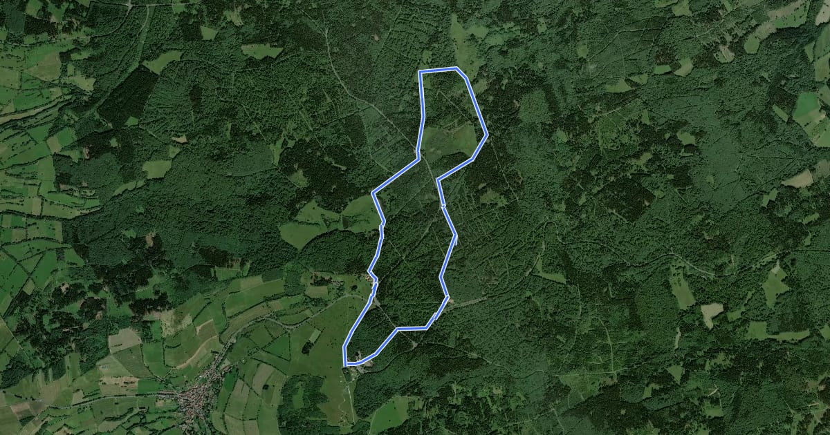 Маршрут Höhenrundweg на спутниковом снимке