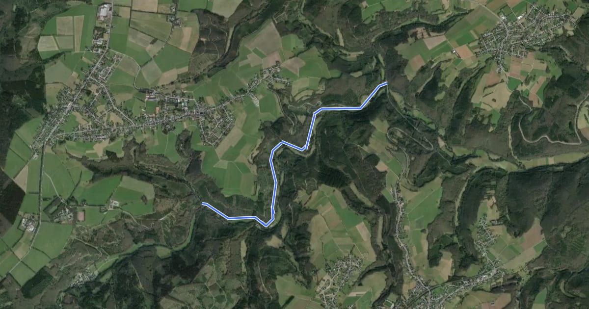 Маршрут Hürtgenwald (36) - Hürtgenwald (37) на спутниковом снимке