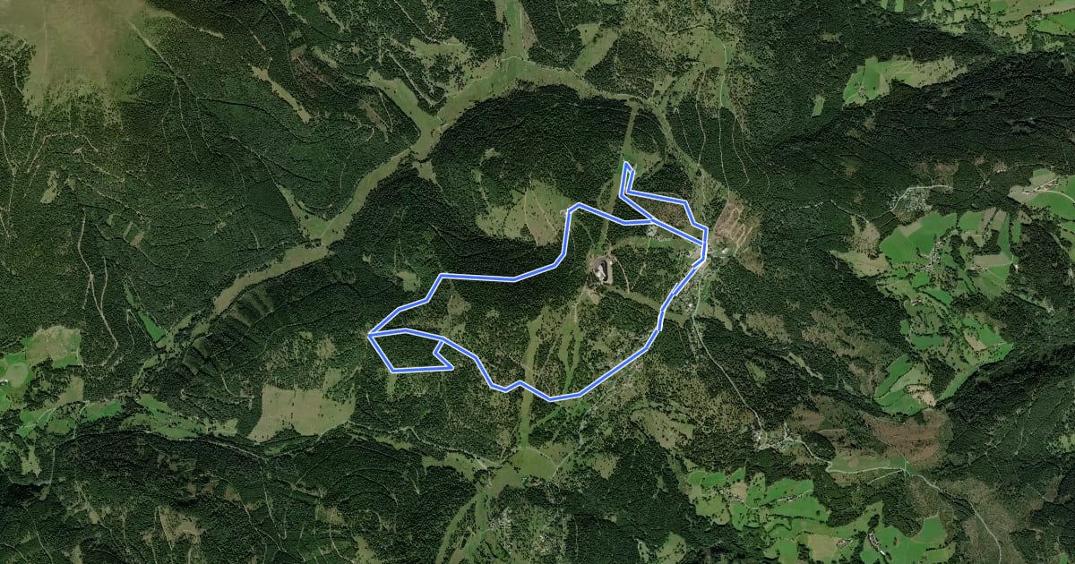 Маршрут Hüttenwanderweg на спутниковом снимке