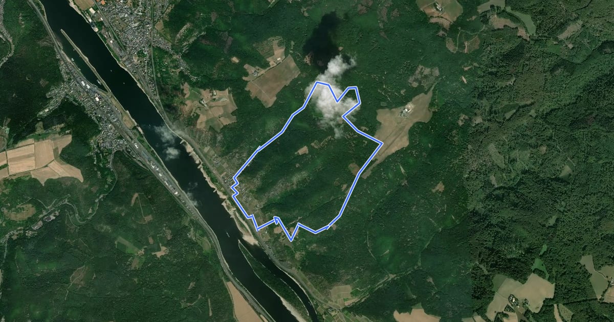 Маршрут Ha1 - Rundwanderweg "Von Weinreben zur Rheinsicht" на спутниковом снимке