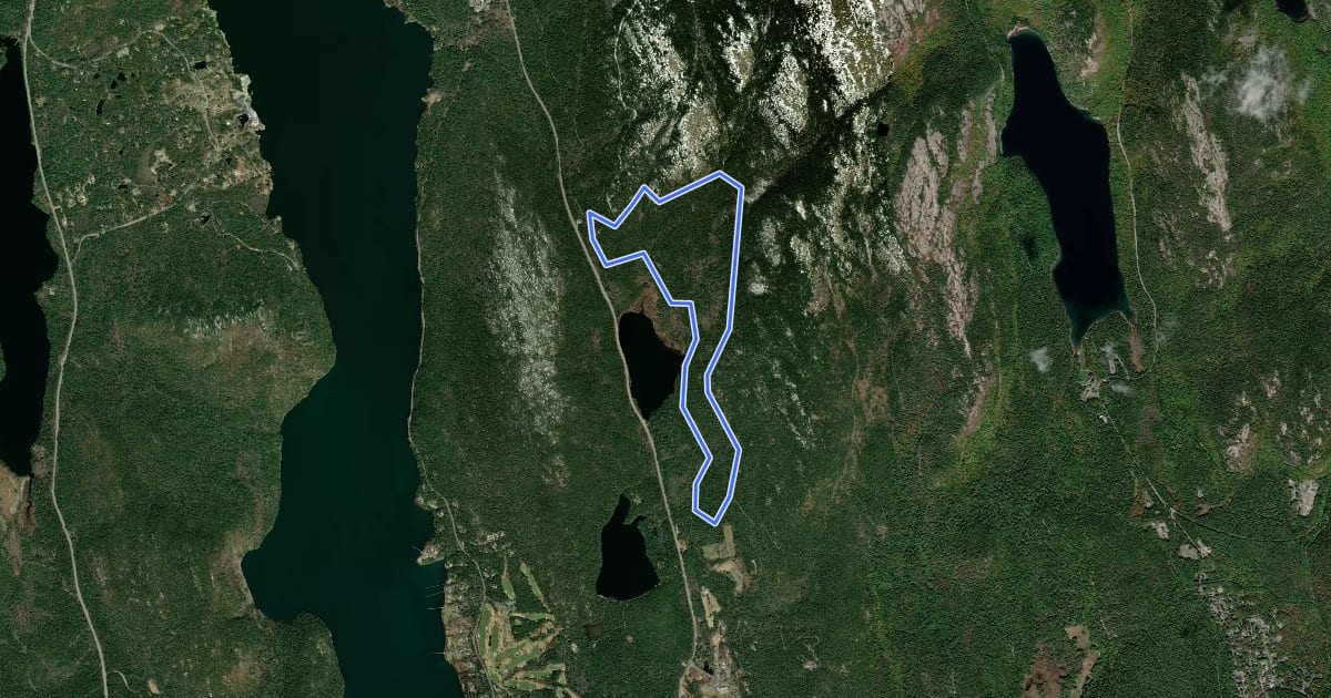 Маршрут Hadlock Loop на спутниковом снимке