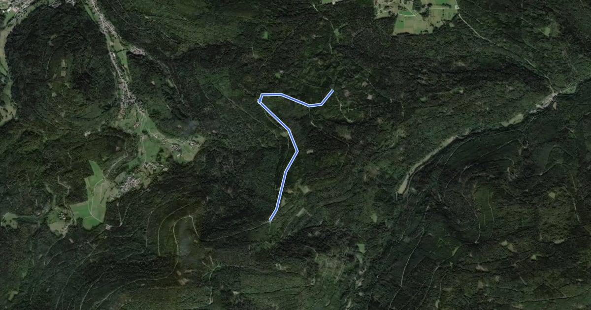 Маршрут Hahnenfalz - Weithäusleplatz на спутниковом снимке