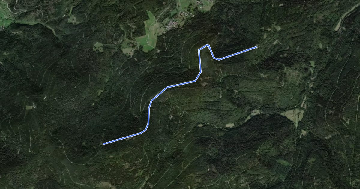 Маршрут Hahnenfalzhütte - Weithäusleplatz на спутниковом снимке