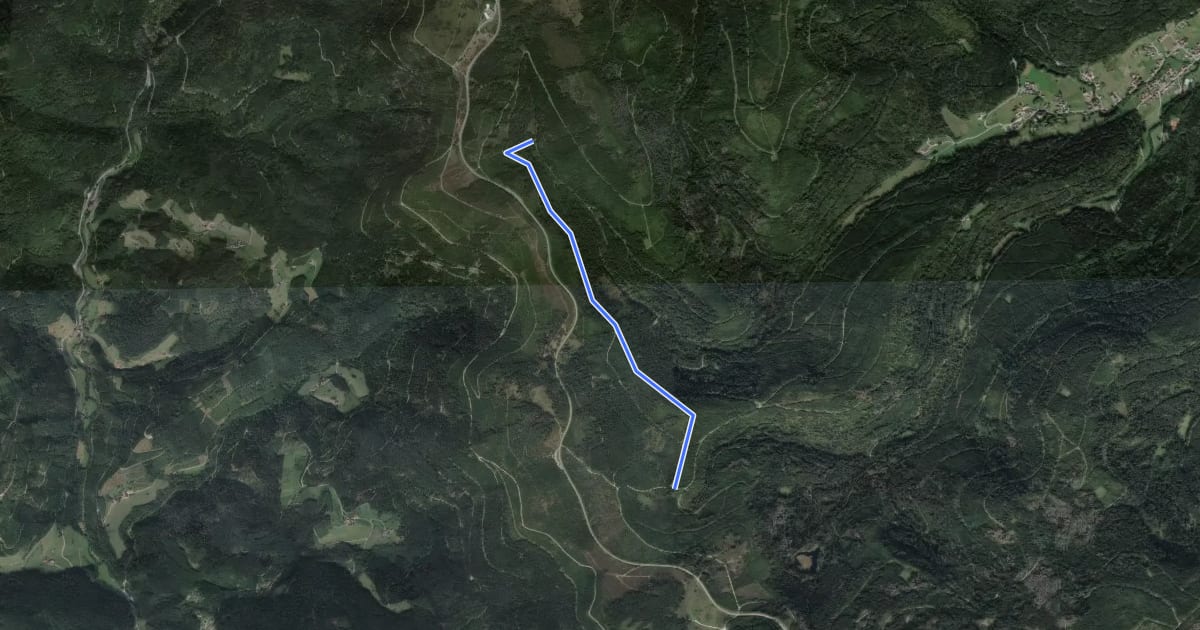 Маршрут Hahnenmisse - Murgursprung на спутниковом снимке