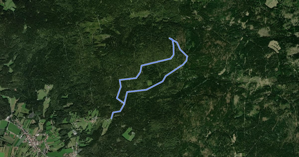 Маршрут Haidelloipe 1 / 7 km на спутниковом снимке