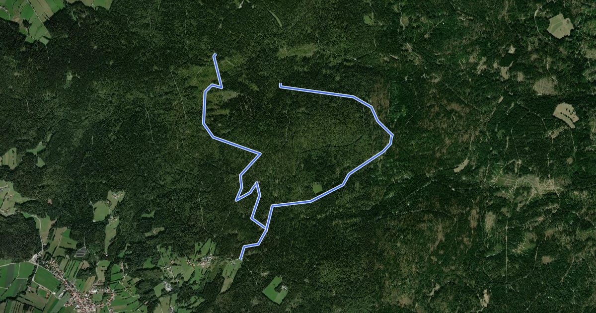Маршрут Haidelloipe 2 / 10 km на спутниковом снимке