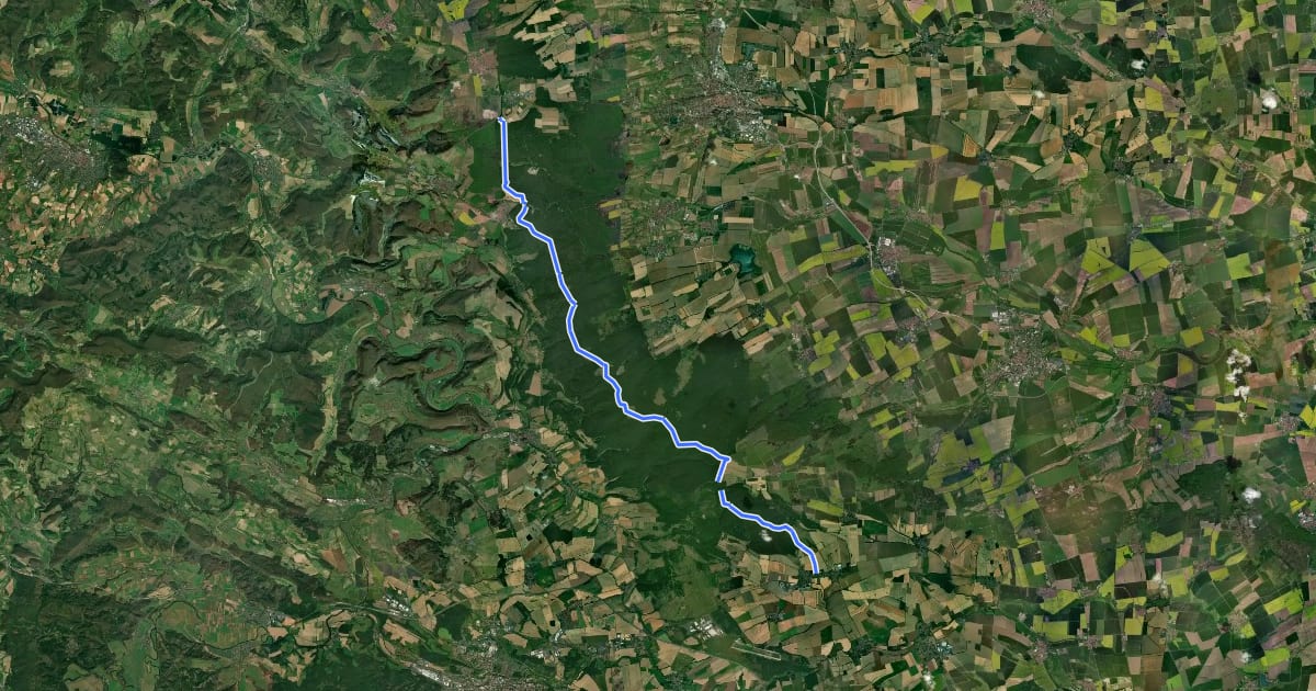 Маршрут Hainich Rennstieg на спутниковом снимке