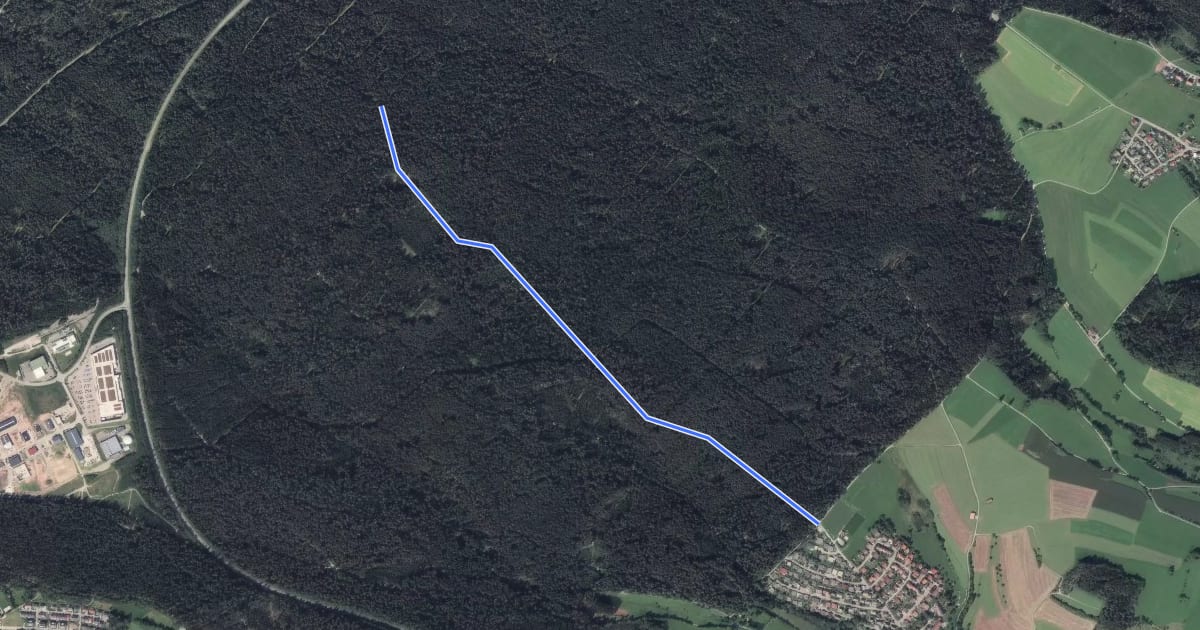 Маршрут Haldenberg - Vorderer Ettenbühl на спутниковом снимке