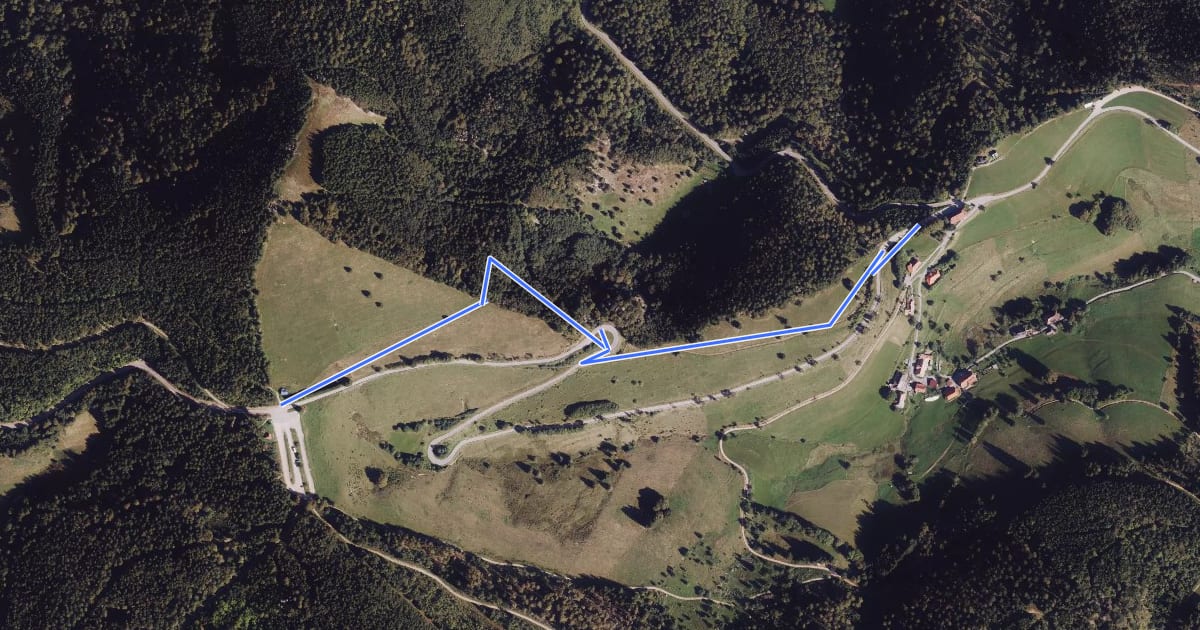 Маршрут Haldenhof - Kreuzweg Skilift на спутниковом снимке