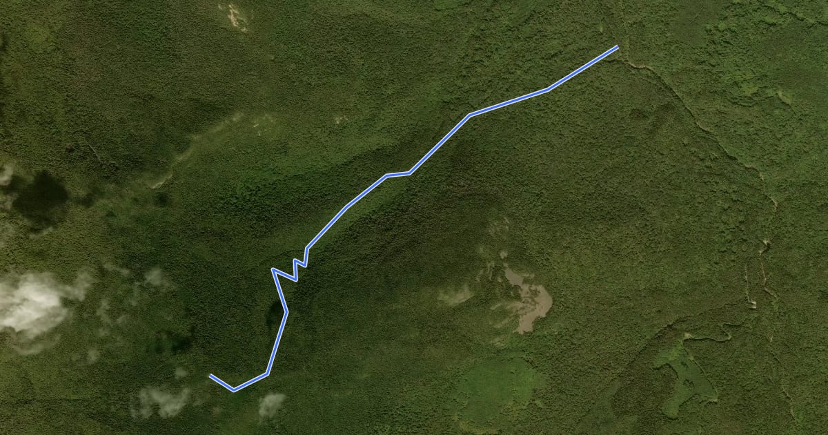 Маршрут Hale Brook Trail на спутниковом снимке