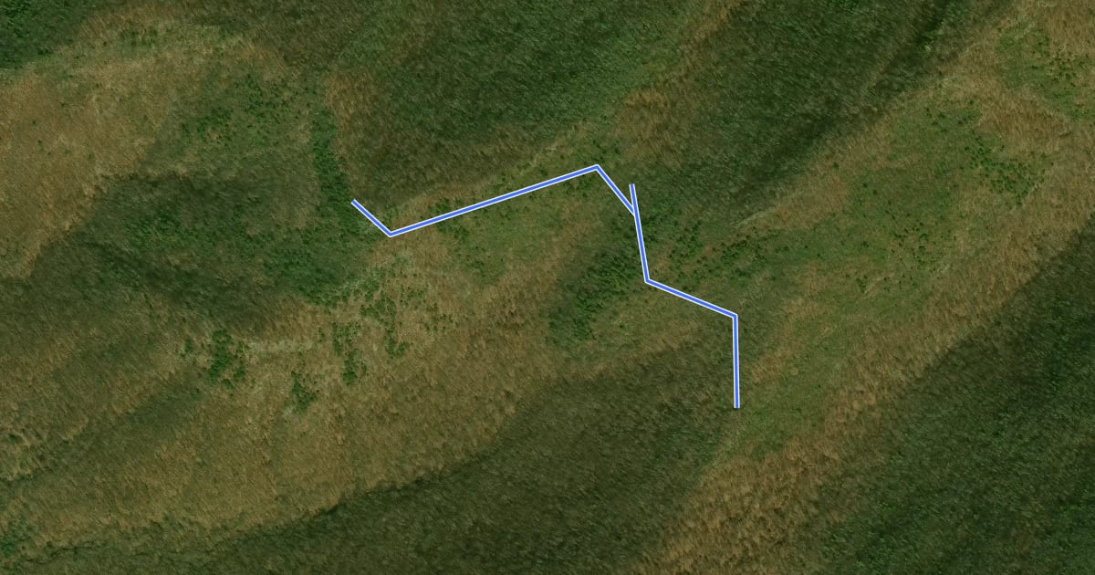 Маршрут Halfmoon Lookout Trail на спутниковом снимке