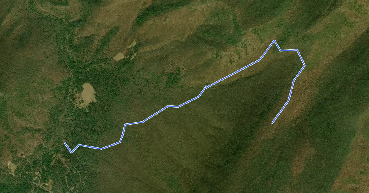 Маршрут Halfmoon Trail на спутниковом снимке