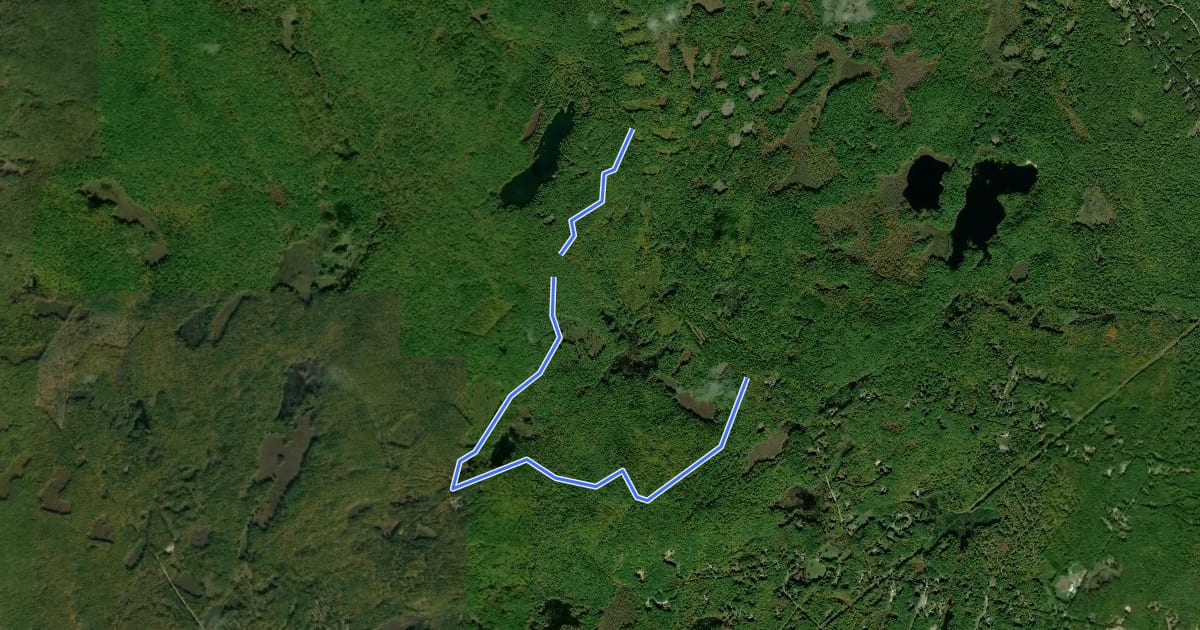 Маршрут Hall Mountain Trail на спутниковом снимке