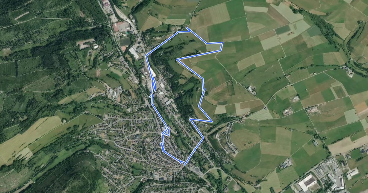 Маршрут Hallenberg Rundweg H1 Siegelsbergweg на спутниковом снимке
