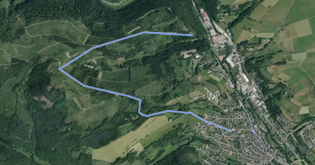 Маршрут Hallenberg Rundweg H3 Heidkopfweg на спутниковом снимке
