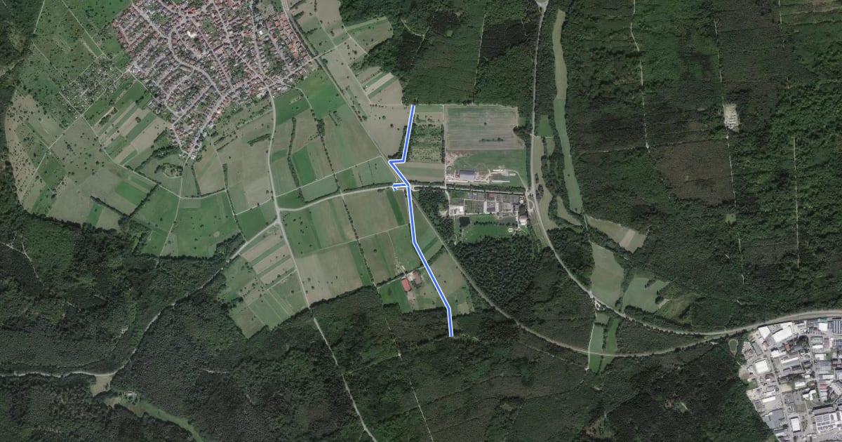 Маршрут Hamberg Waldspielplatz - Bienenstand на спутниковом снимке