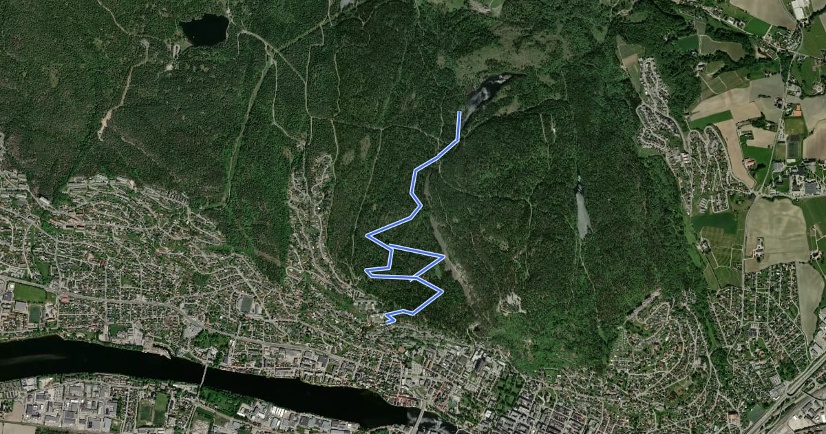 Маршрут Hamborgstrømskogens spaservei на спутниковом снимке