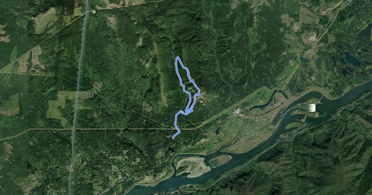 Маршрут Hamilton Mountain Loop на спутниковом снимке