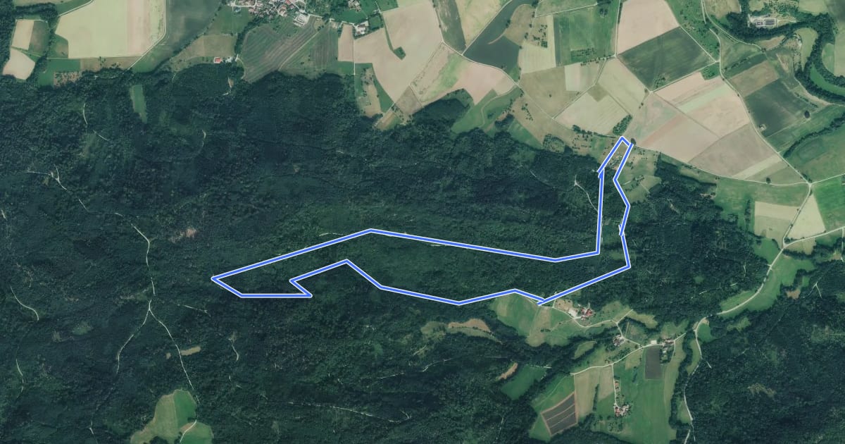 Маршрут Hammerhaldenweg на спутниковом снимке