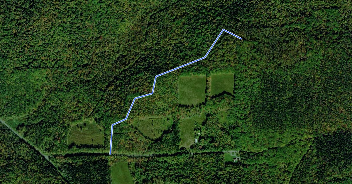 Маршрут Hammond Hill - Green 1 на спутниковом снимке