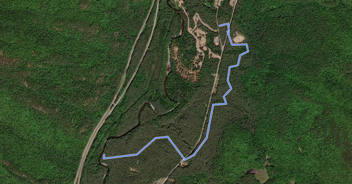 Маршрут Hammond Pond Wild Forest на спутниковом снимке