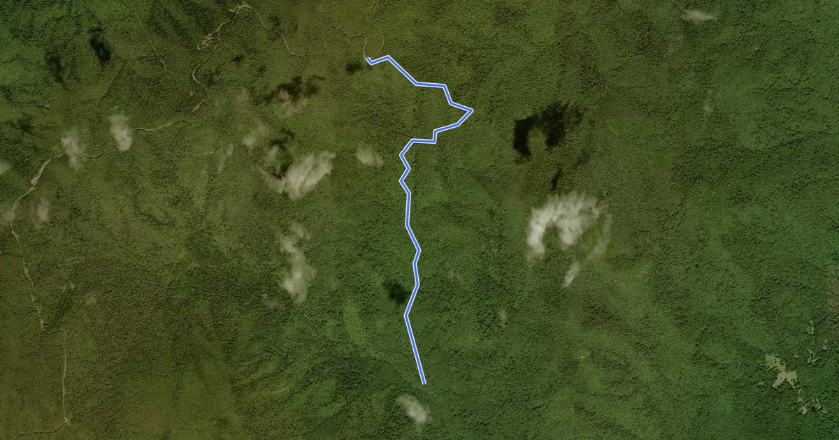 Маршрут Hannah Run Trail на спутниковом снимке