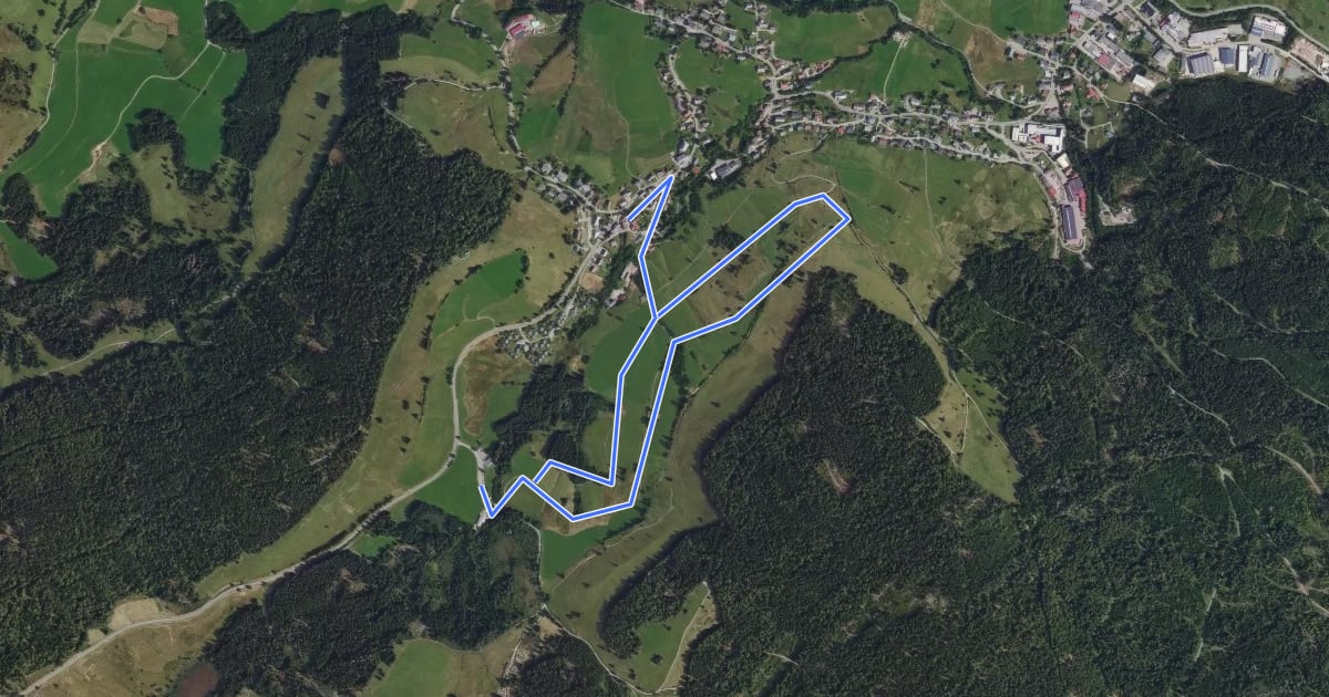 Маршрут Hans-Thoma-Künstlerweg на спутниковом снимке