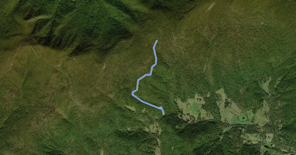 Маршрут Harris Hollow Trail на спутниковом снимке