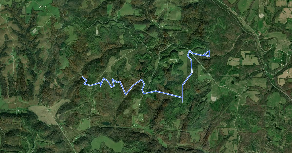 Маршрут Harrison Forest - Blue Trail на спутниковом снимке