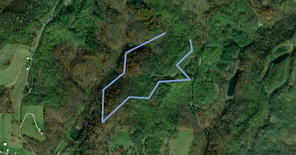 Маршрут Harrison Forest - South Green на спутниковом снимке