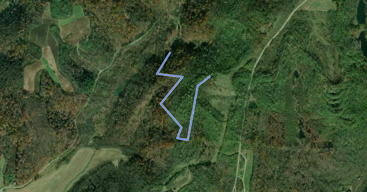 Маршрут Harrison Forest - White Trail на спутниковом снимке