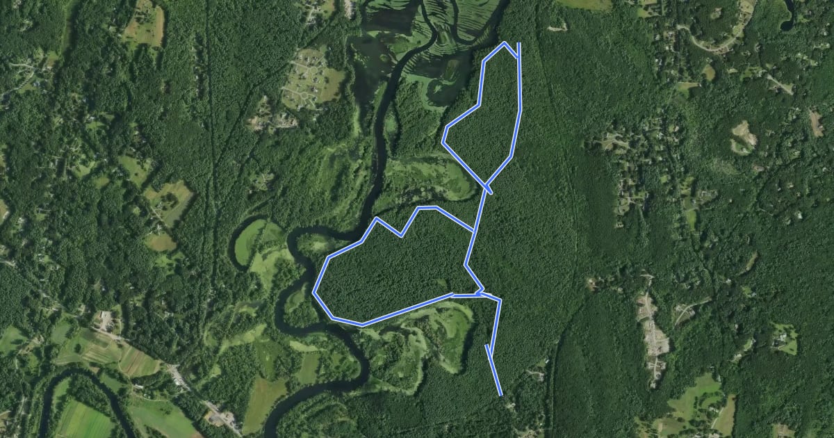 Маршрут Harry's Dark Forest River Trail на спутниковом снимке