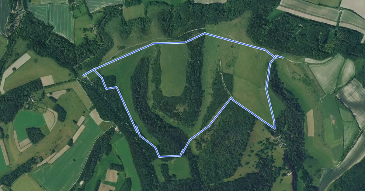 Маршрут Harting Down Wildlife Walk, Sussex West на спутниковом снимке
