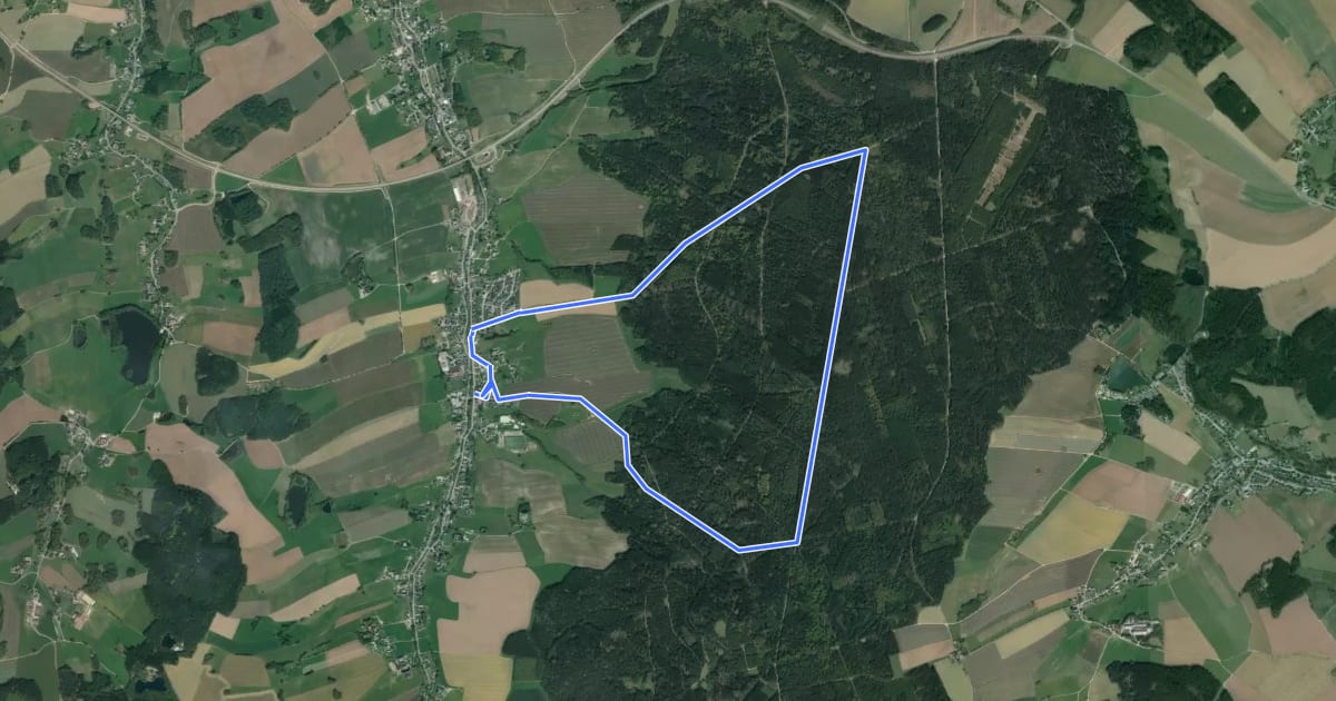 Маршрут Hartmannsdorf - Hirschenstein - Hartmannsdorf на спутниковом снимке