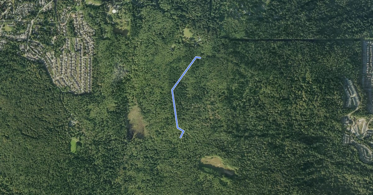 Маршрут Harvey Manning Trail на спутниковом снимке