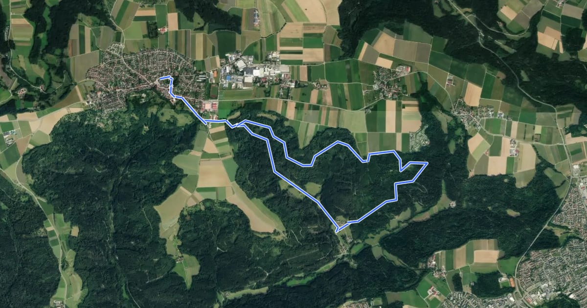 Маршрут Haselbach-Rundweg на спутниковом снимке