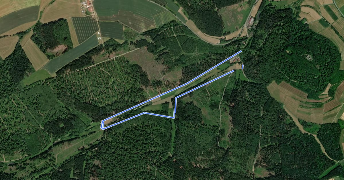 Маршрут Hasenmühle, Rundweg 3 на спутниковом снимке