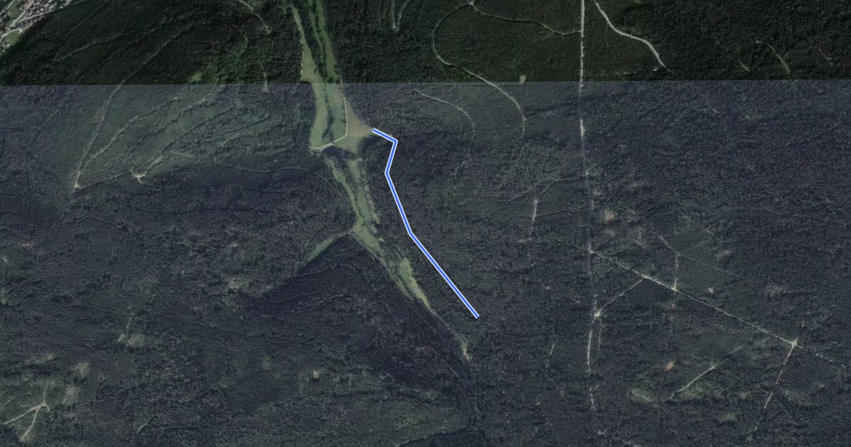 Маршрут Hasensteige - Reichenbachtal на спутниковом снимке