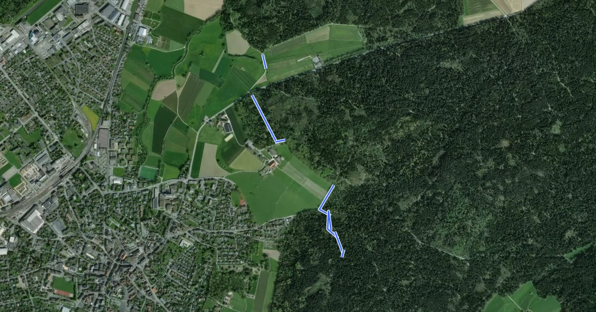Маршрут Haslibrunnen - Im Weier на спутниковом снимке