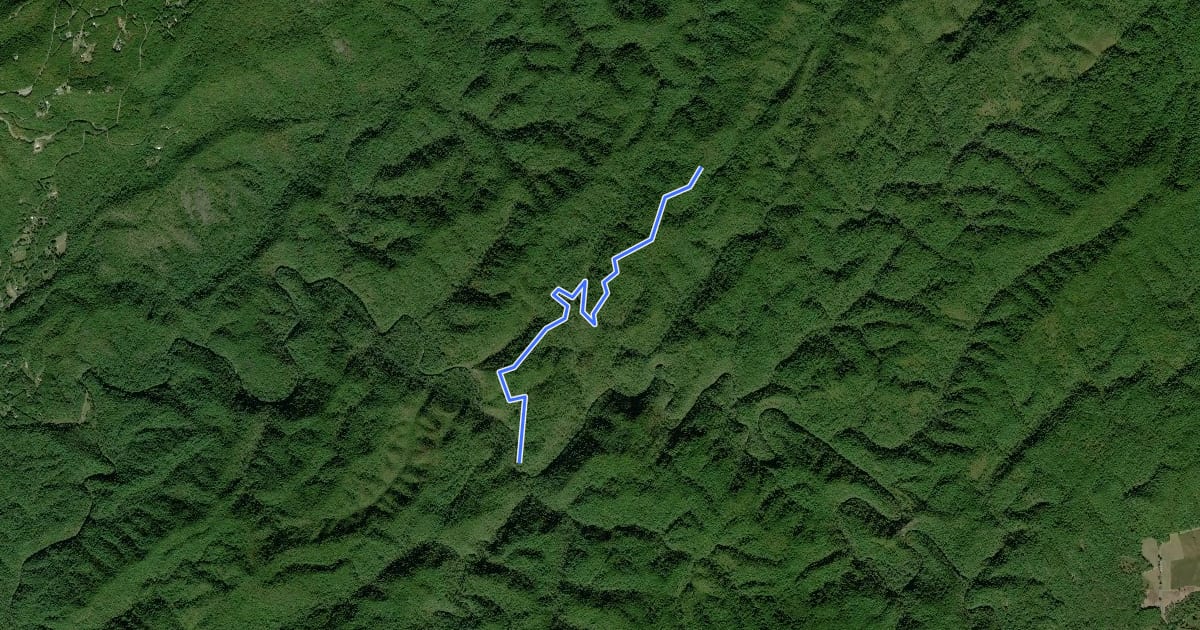 Маршрут Hatcher Mountain Trail на спутниковом снимке